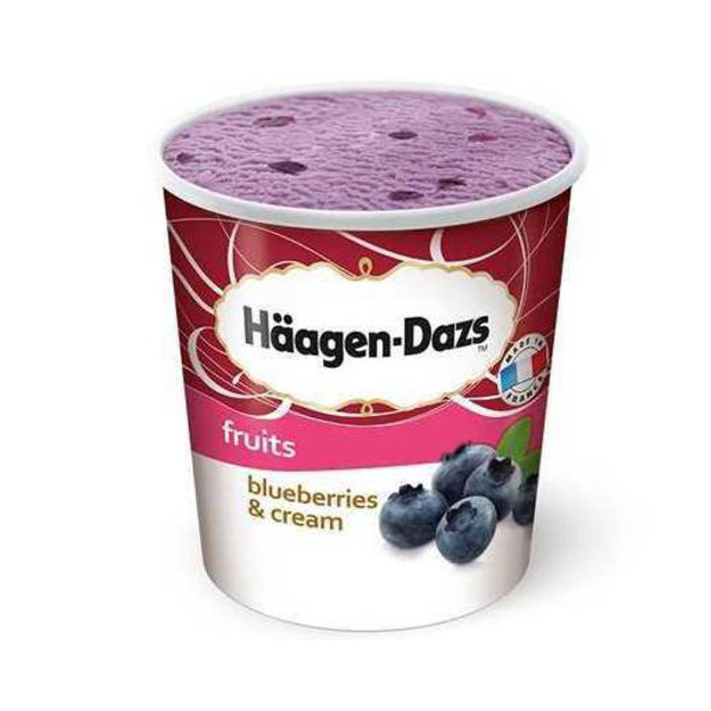 HAAGEN DAZS Blueberries Cream 500ml 3415581170412