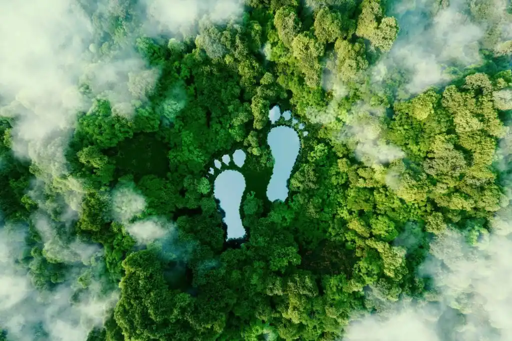 carbon footprints